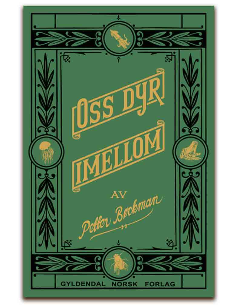 oss-dyr-i-mellom_5041_1727269850